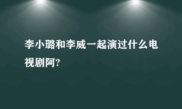 李小璐和李威一起演过什么电视剧阿?