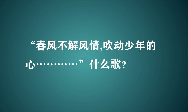 “春风不解风情,吹动少年的心…………”什么歌？