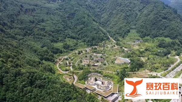 为什么神树坪的树上长满了熊猫？多媒体展厅带你探索熊猫的世界