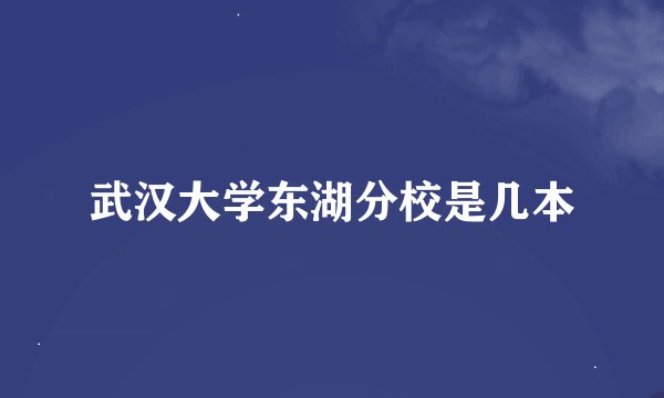 武汉大学东湖分校是几本