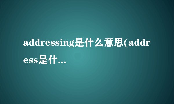 addressing是什么意思(address是什么意思啊)