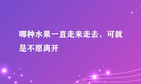 哪种水果一直走来走去，可就是不愿离开