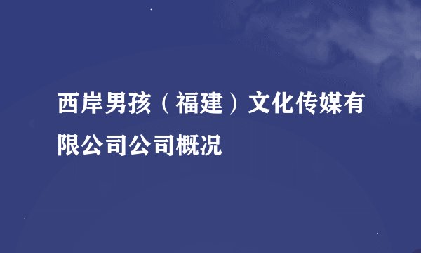 西岸男孩（福建）文化传媒有限公司公司概况