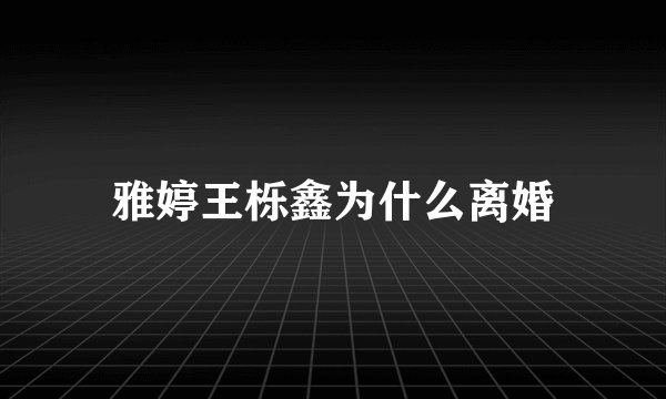 雅婷王栎鑫为什么离婚