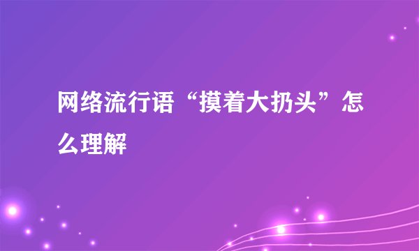 网络流行语“摸着大扔头”怎么理解