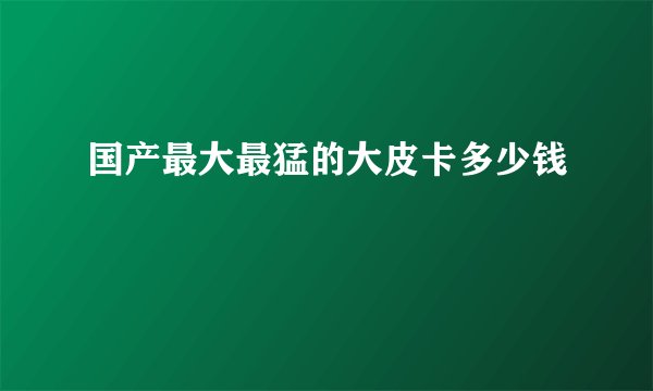 国产最大最猛的大皮卡多少钱