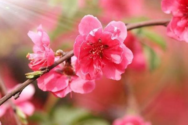 艳遇这个词什么意思