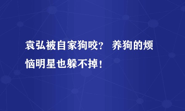 袁弘被自家狗咬？ 养狗的烦恼明星也躲不掉！