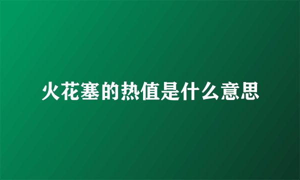 火花塞的热值是什么意思