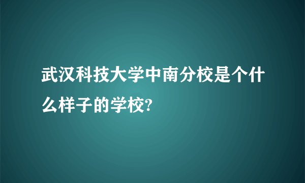 武汉科技大学中南分校是个什么样子的学校?
