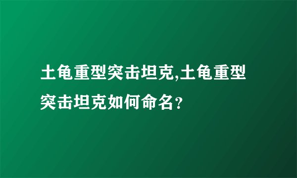 土龟重型突击坦克,土龟重型突击坦克如何命名？