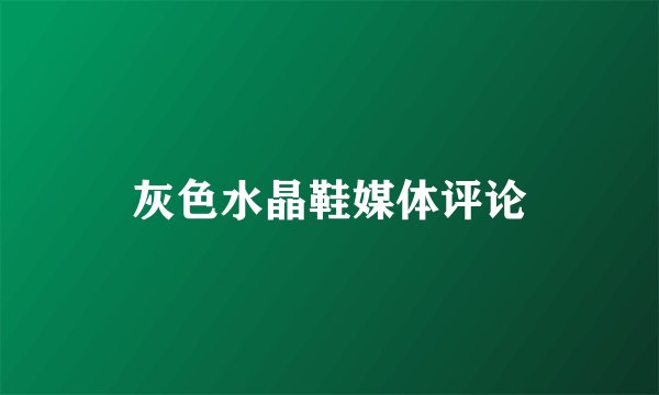 灰色水晶鞋媒体评论