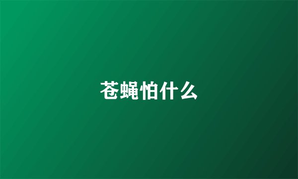 苍蝇怕什么