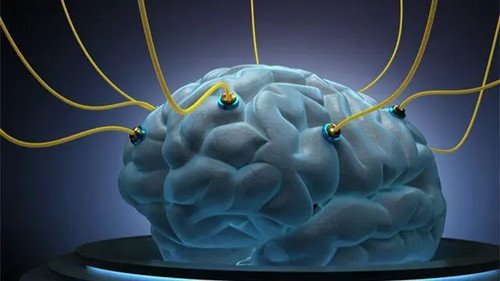 科学家首次证明:人脑细胞在体外也有智力,这意味着什么?