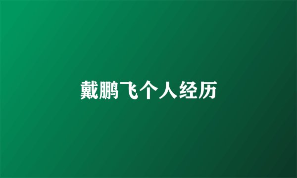 戴鹏飞个人经历