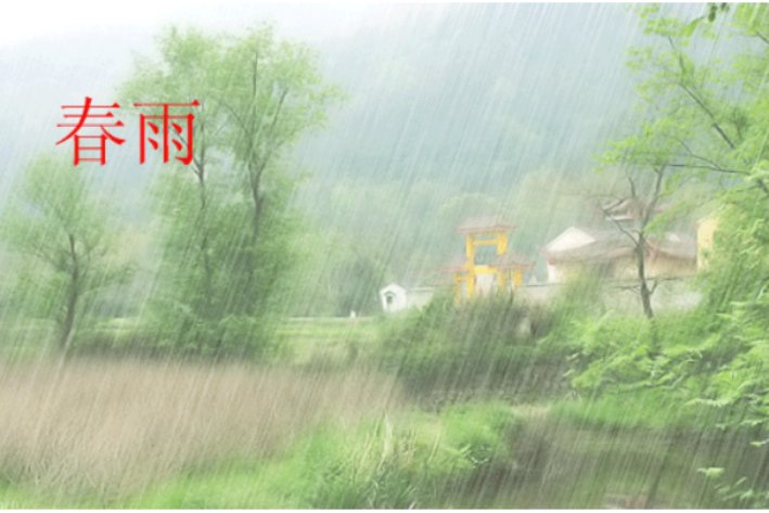 描写春雨蚂蚁庄园