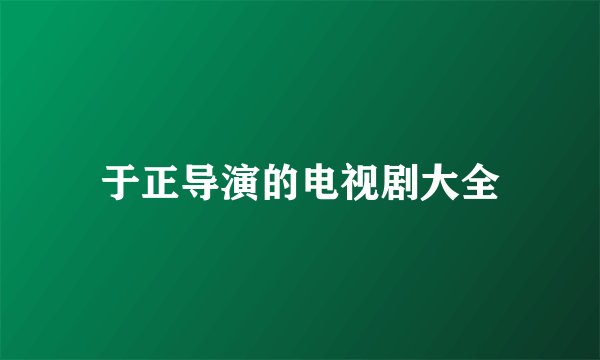 于正导演的电视剧大全