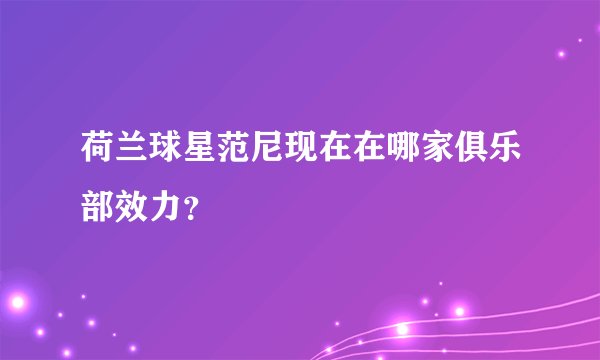 荷兰球星范尼现在在哪家俱乐部效力？