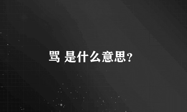 骂 是什么意思？