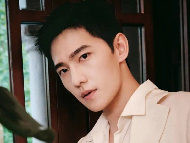 腾讯视频代言人