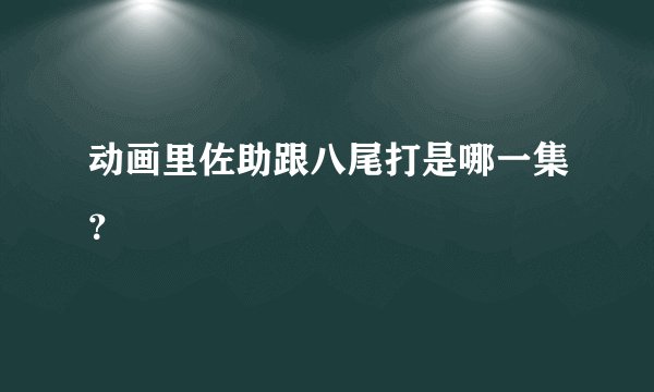 动画里佐助跟八尾打是哪一集？