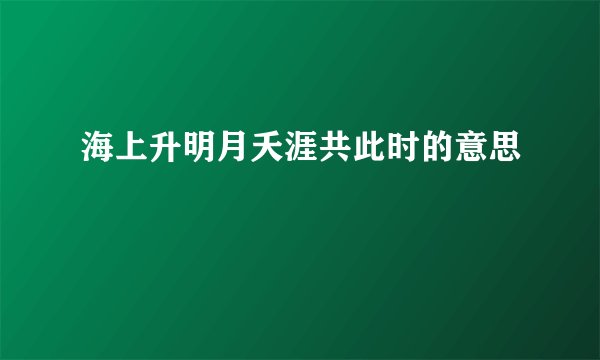 海上升明月夭涯共此时的意思