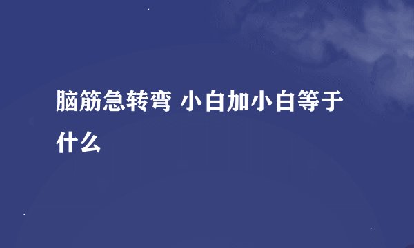 脑筋急转弯 小白加小白等于什么