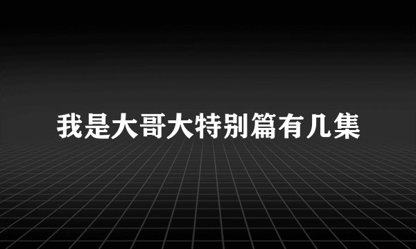 我是大哥大特别篇有几集