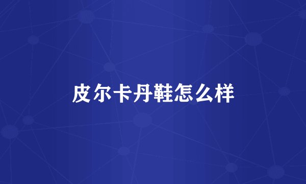 皮尔卡丹鞋怎么样