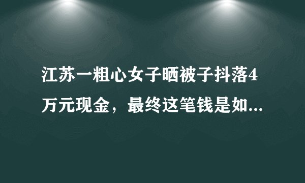 江苏一粗心女子晒被子抖落4万元现金，最终这笔钱是如何拿回的？