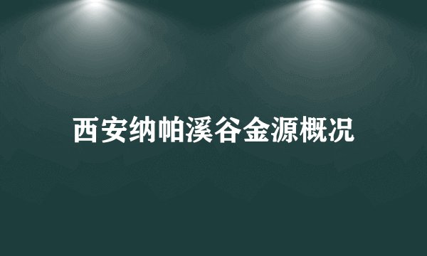 西安纳帕溪谷金源概况