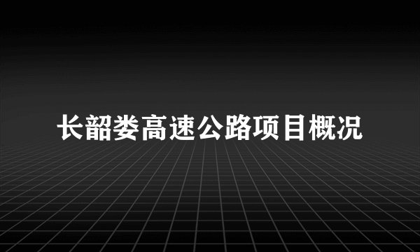 长韶娄高速公路项目概况