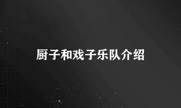 厨子和戏子乐队介绍