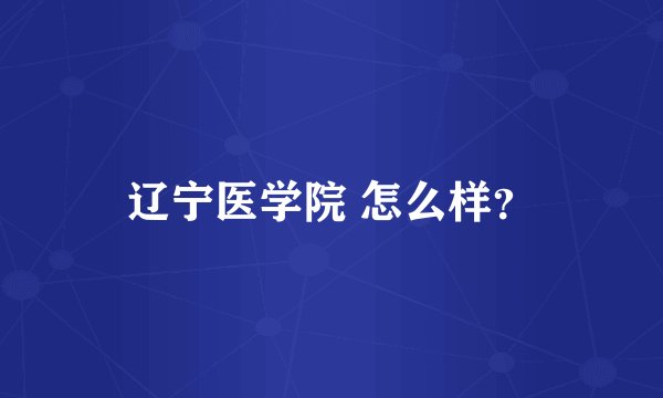辽宁医学院 怎么样？