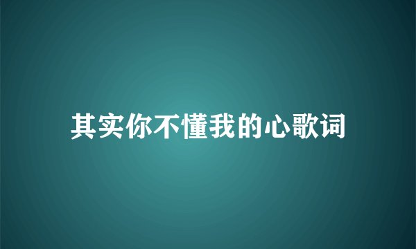 其实你不懂我的心歌词