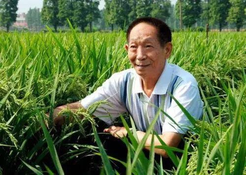 电影《袁隆平》创湖南卫视收视新高,这能从侧面显示出什么?