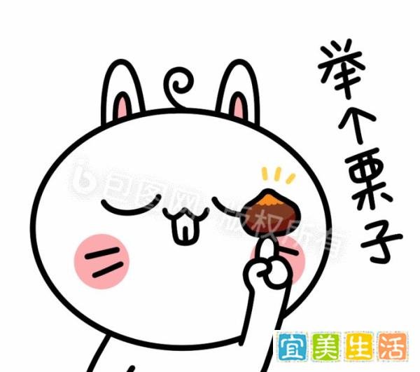 小规模纳税人免征政策，重点问题解读