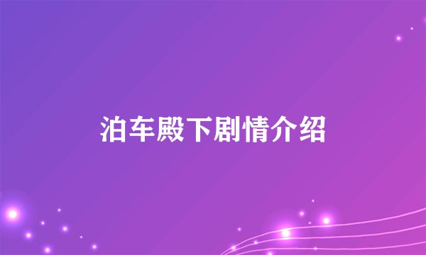 泊车殿下剧情介绍
