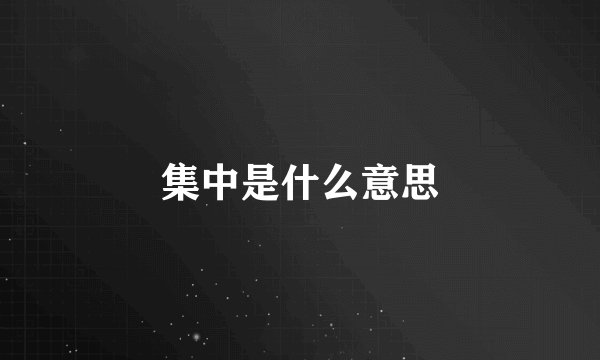 集中是什么意思