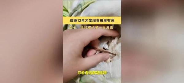 结婚12年才发现喜被里有葱