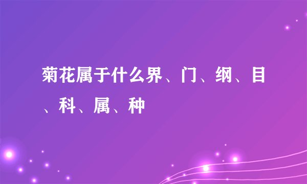 菊花属于什么界、门、纲、目、科、属、种