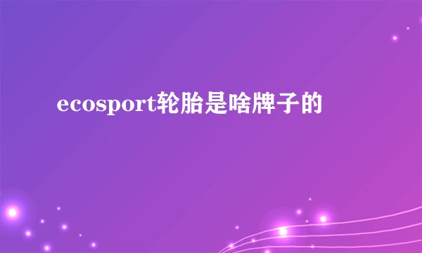 ecosport轮胎是啥牌子的