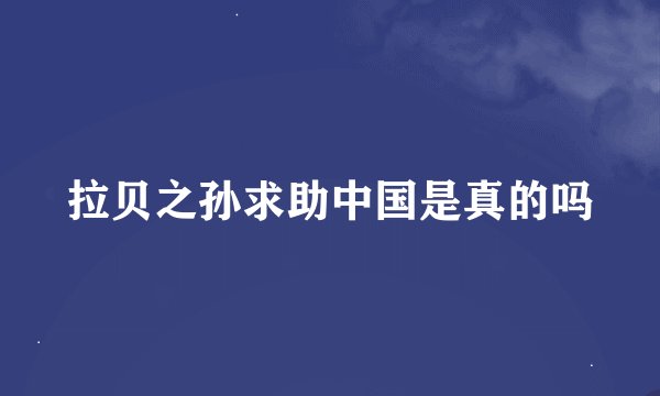 拉贝之孙求助中国是真的吗