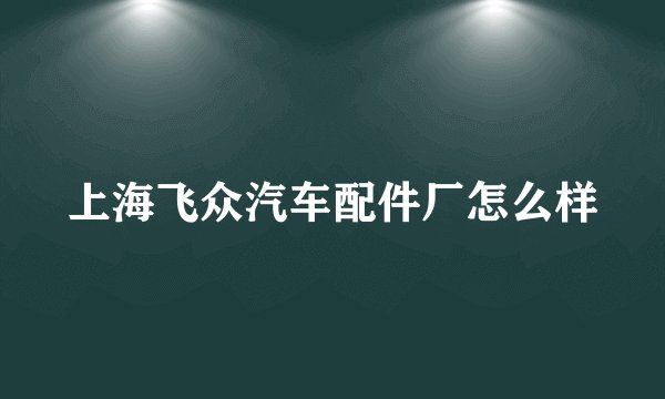 上海飞众汽车配件厂怎么样