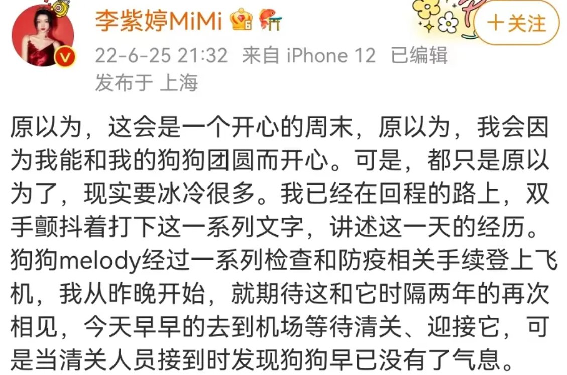 女星宠物狗托运死亡事件背后,折射出了哪些宠物托运行业的乱象?