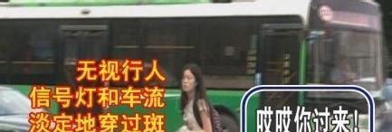 闯红灯姑娘事件给我的思考