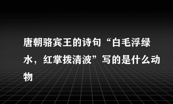 唐朝骆宾王的诗句“白毛浮绿水，红掌拨清波”写的是什么动物