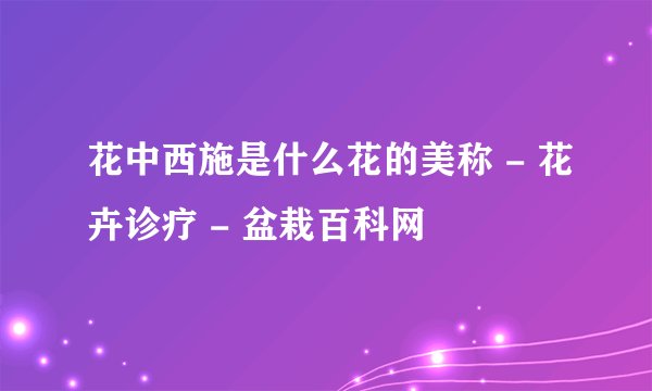 花中西施是什么花的美称 - 花卉诊疗 - 盆栽百科网