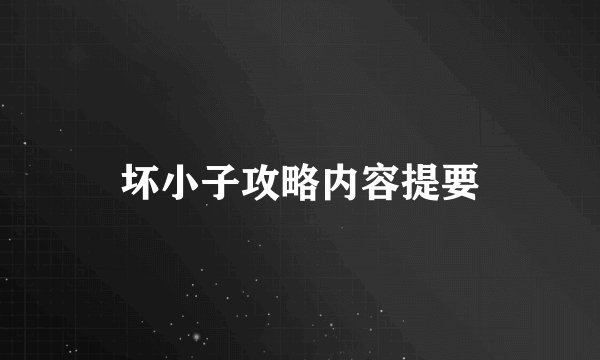 坏小子攻略内容提要