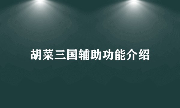 胡菜三国辅助功能介绍